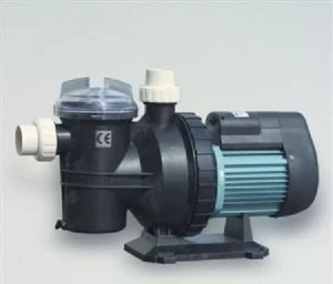 Swimming Pool Water Pump SS 033 1 Swimming Pool Water Pump SS 033